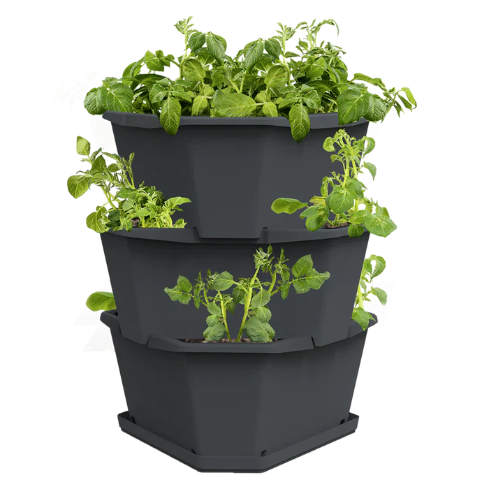 indoor potato planter PAUL POTATO (Stackable 3 Level Grow Pot) + Incl Seed Potatoes – Ubuntuberg Farms