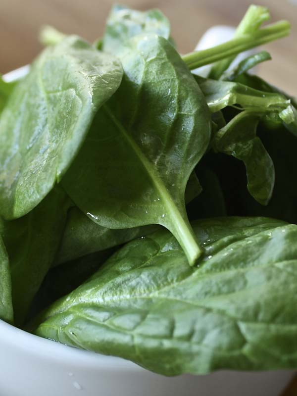 SPINACH MATADOR